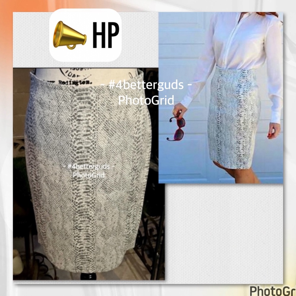 NEW Ann Taylor Contrast Gray Snakeskin Scale Print Panel Straight Pencil Skirt 4